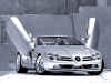 CAR001.JPG (202746 bytes)