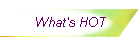 What's HOT